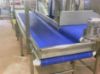 Picture of SS Belt Conveyor