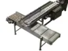 Picture of SS Belt Conveyor